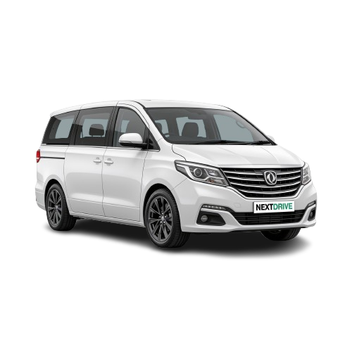 LDV G10